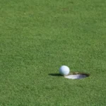 Pelota de golf sobre césped Bermuda en un campo de golf, ideal para un césped resistente y bien cuidado en áreas deportivas